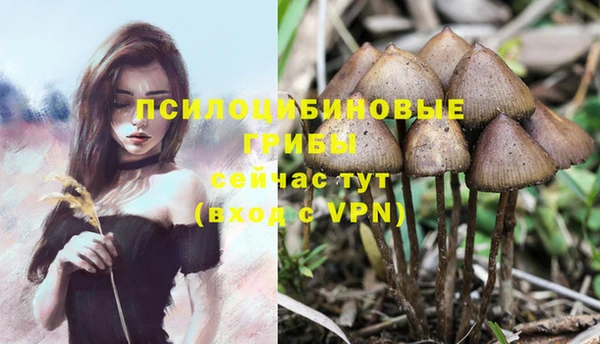 соль курить ск Арсеньев