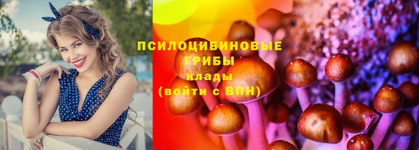 стафф Аркадак