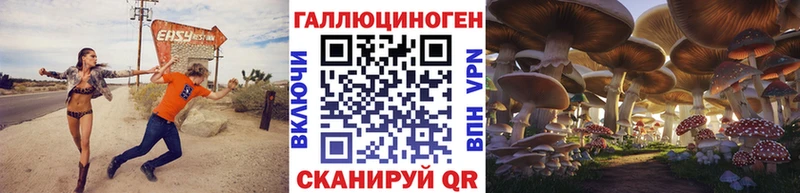 дарнет шоп  Нарткала  Псилоцибиновые грибы MAGIC MUSHROOMS 