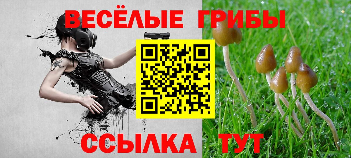 Псилоцибиновые грибы Magic Shrooms Нарткала