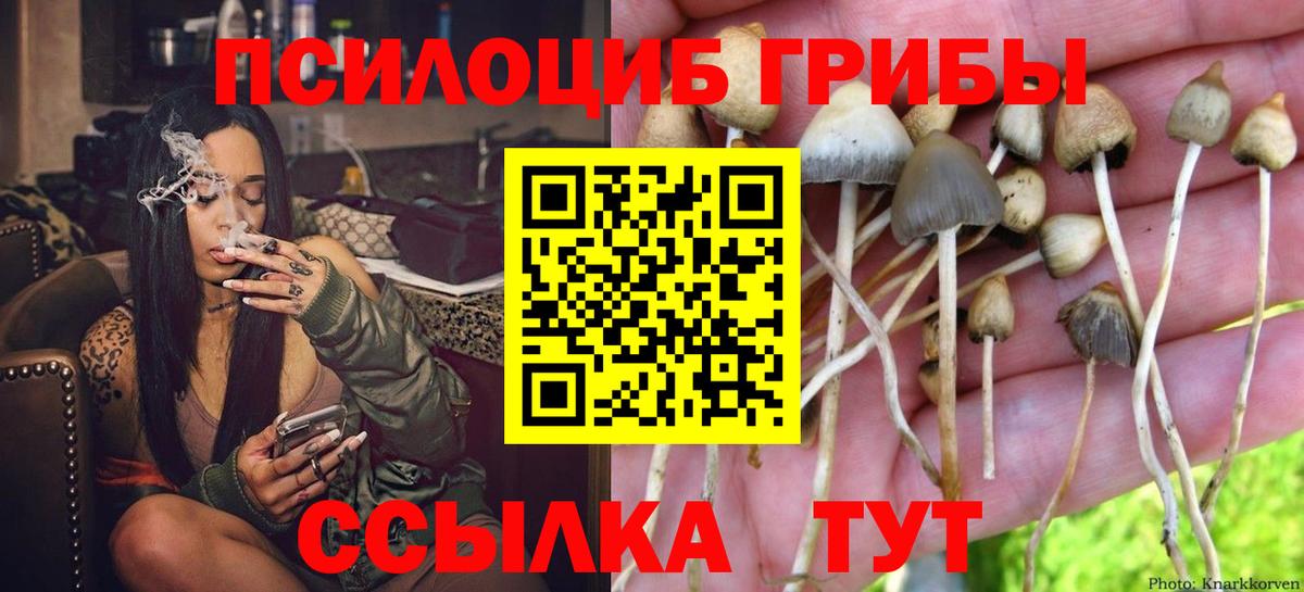 где найти наркотики  Псилоцибиновые грибы мухоморы  Вход с VPN  Нарткала 